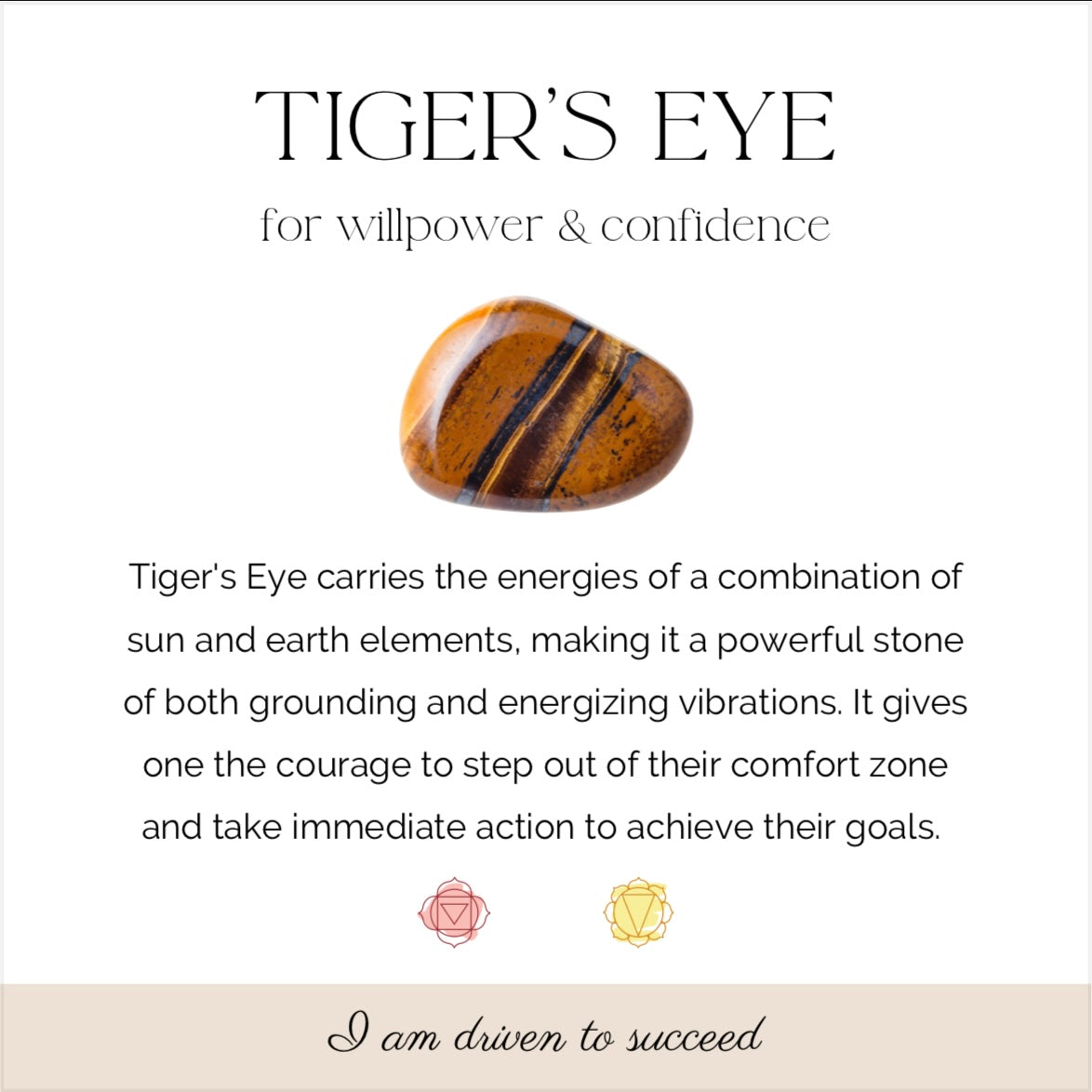 Tiger’s Eye | Bracelet | 6mm |