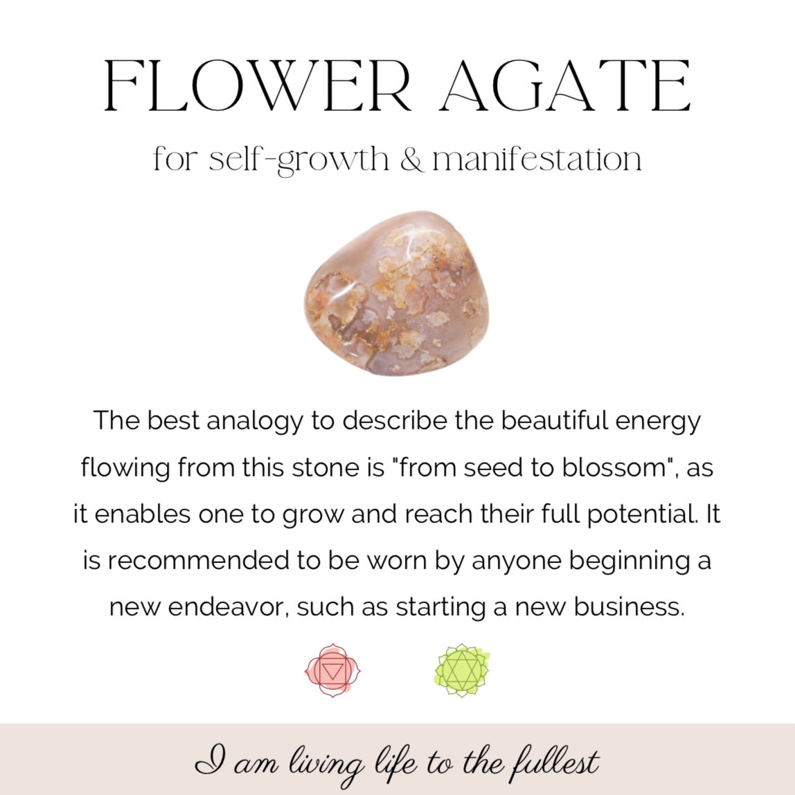 Flower Agate Bracelet | 6mm |